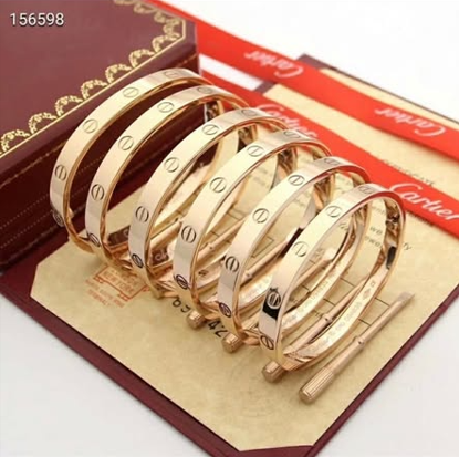 PAQUETE EMPRENDEDOR 5 PIEZAS JOYERIA CARTIER
